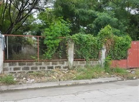 For Sale: 1350 sqm Vacant Lot Timothy St Multinational Village.